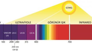 Güneş kremini neden ihmal etmemeliyiz? İşte güneşin zararları!